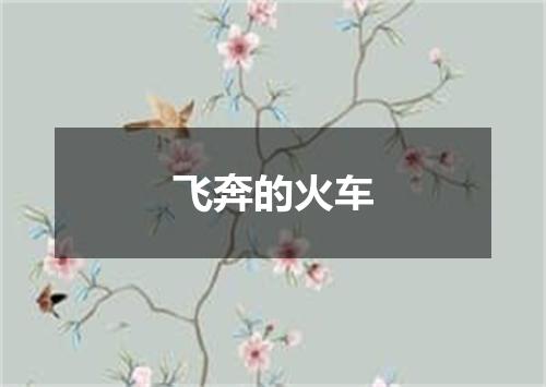 飞奔的火车