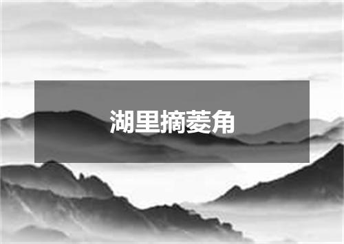 湖里摘菱角