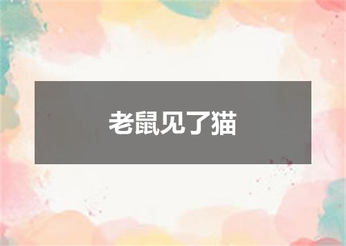 老鼠见了猫