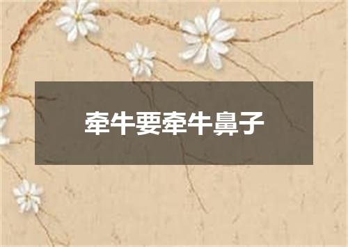 牵牛要牵牛鼻子