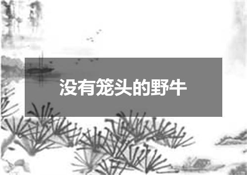 没有笼头的野牛