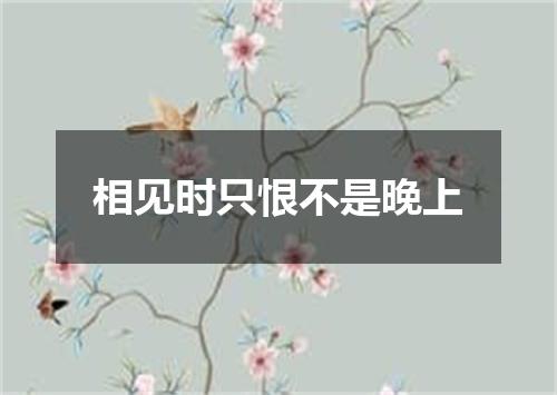相见时只恨不是晚上