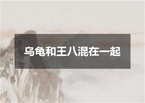 乌龟和王八混在一起