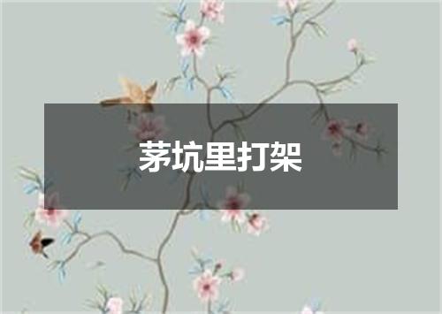 茅坑里打架