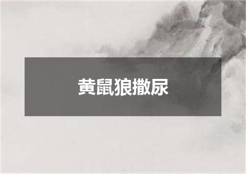 黄鼠狼撒尿