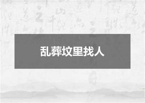 乱葬坟里找人