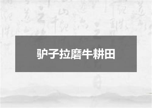 驴子拉磨牛耕田
