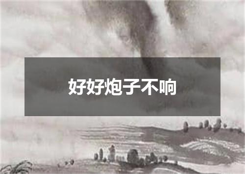 好好炮子不响