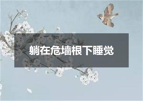 躺在危墙根下睡觉