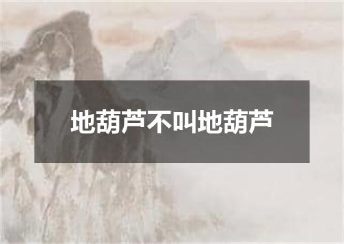 地葫芦不叫地葫芦