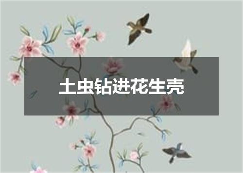 土虫钻进花生壳
