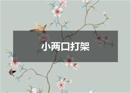 小两口打架