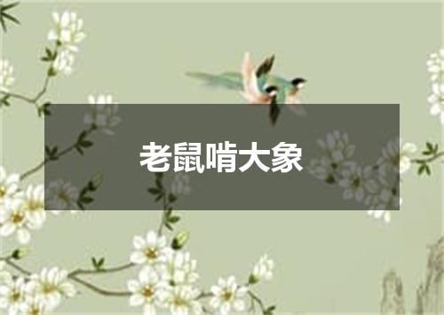 老鼠啃大象