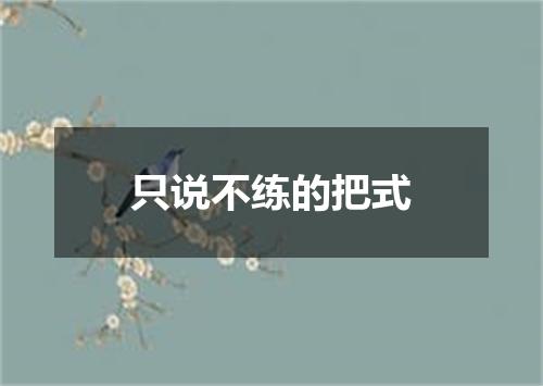 只说不练的把式