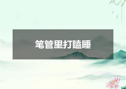 笔管里打瞌睡