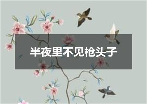 半夜里不见枪头子