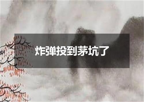 炸弹投到茅坑了