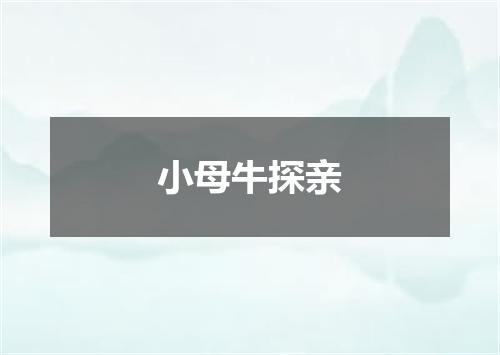 小母牛探亲