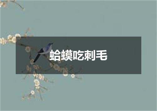 蛤蟆吃刺毛
