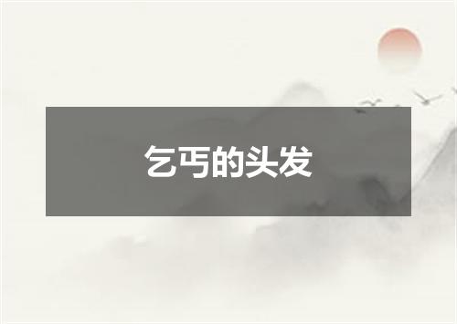 乞丐的头发