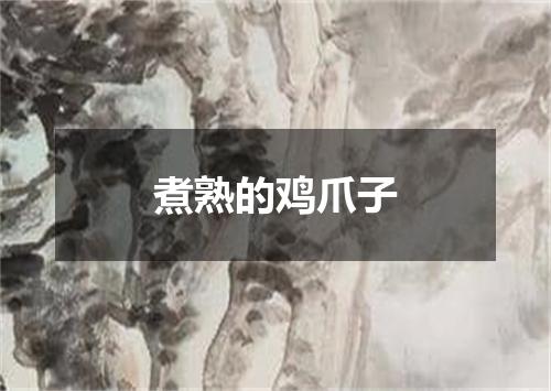 煮熟的鸡爪子