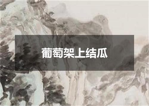 葡萄架上结瓜