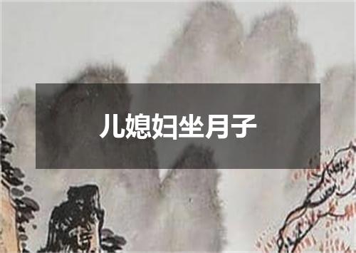 儿媳妇坐月子