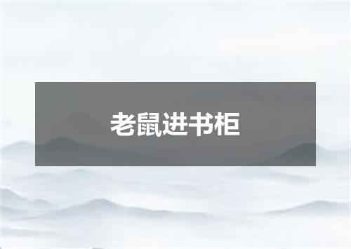老鼠进书柜
