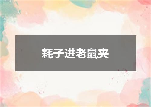 耗子进老鼠夹