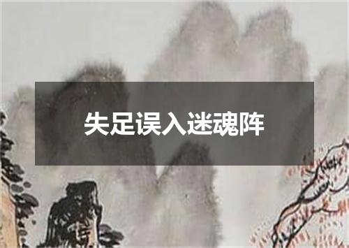 失足误入迷魂阵