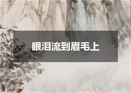 眼泪流到眉毛上