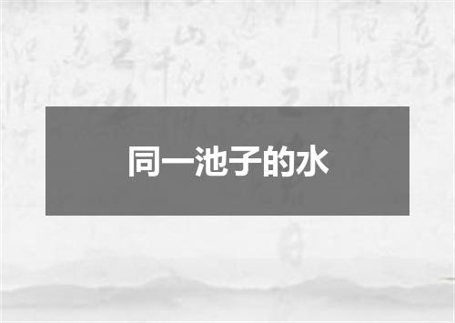 同一池子的水