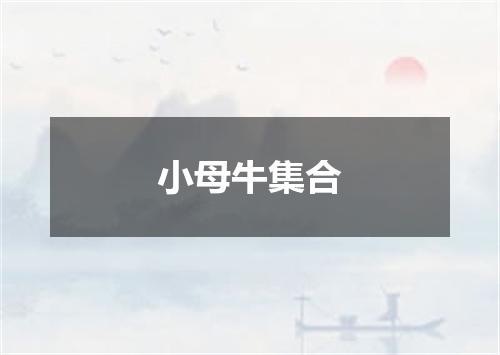 小母牛集合