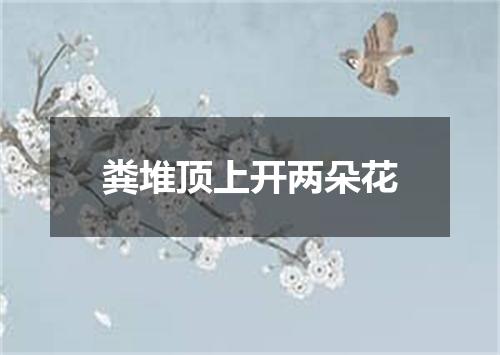 粪堆顶上开两朵花
