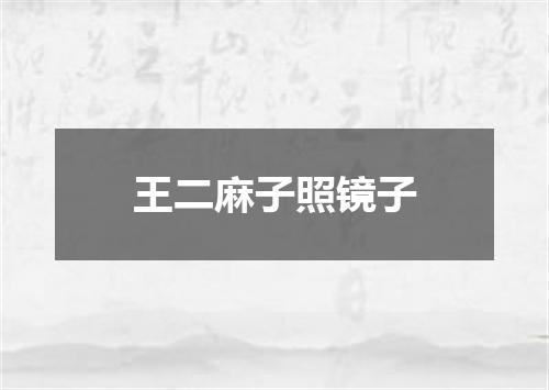 王二麻子照镜子