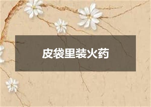 皮袋里装火药