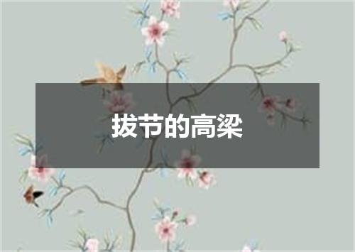 拔节的高梁