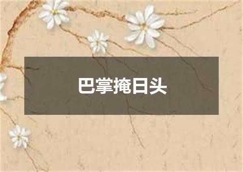 巴掌掩日头