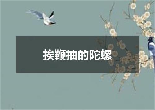 挨鞭抽的陀螺