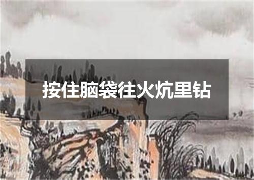 按住脑袋往火炕里钻