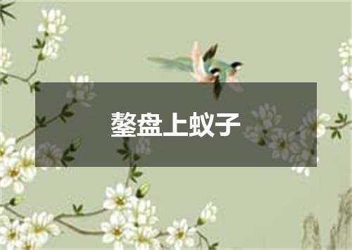 鏊盘上蚁子