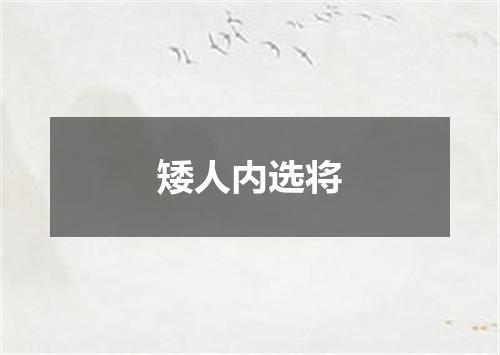 矮人内选将