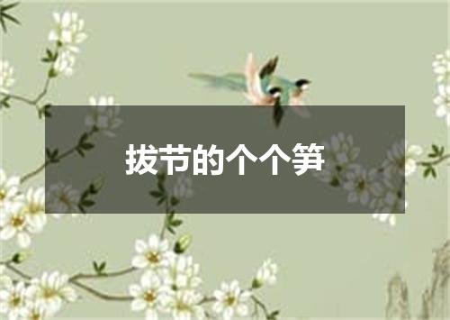 拔节的个个笋