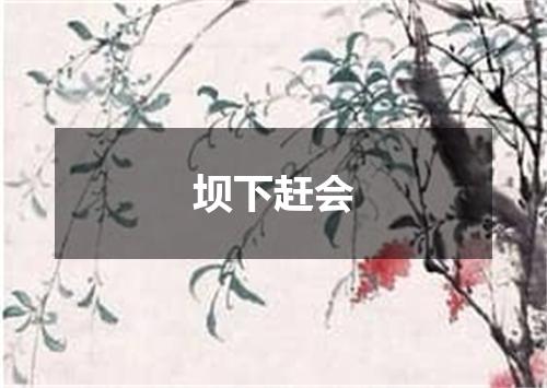 坝下赶会