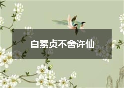 白素贞不舍许仙