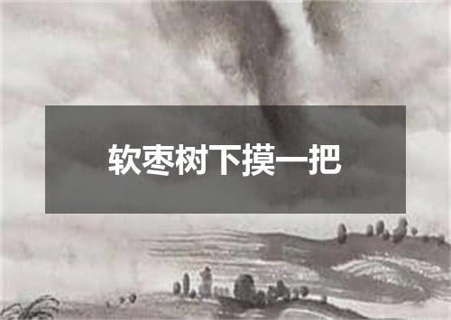 软枣树下摸一把