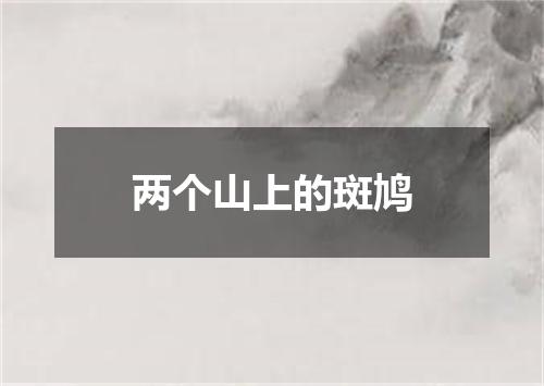 两个山上的斑鸠