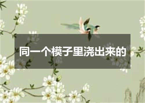 同一个模子里浇出来的