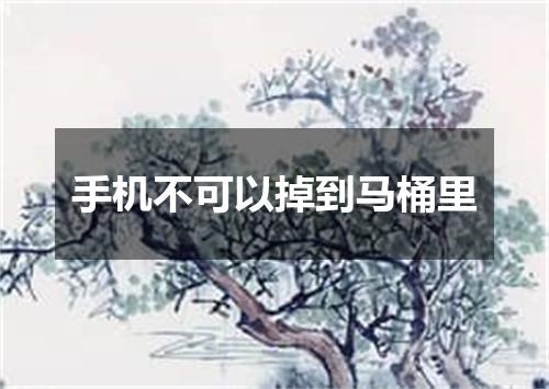 手机不可以掉到马桶里