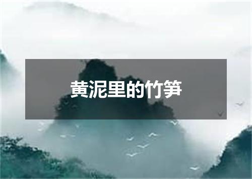 黄泥里的竹笋
